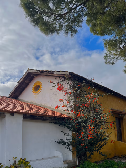 Quinta da Burra — foto 6